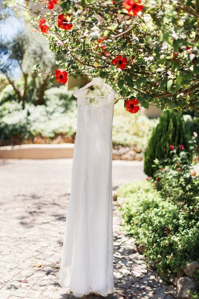 Vacker brudklänning hänger på trädet i sommarträdgården, morgon förberedelse, röda blommor — Stockfoto