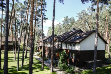 Ramrocket çam ormanı içinde ahşap evler