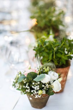Tencere weddign masada çiçeklenir. İtalyan villası
