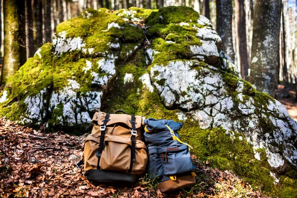 Twee reizen rugzakken in de buurt van steen in het bos — Stockfoto