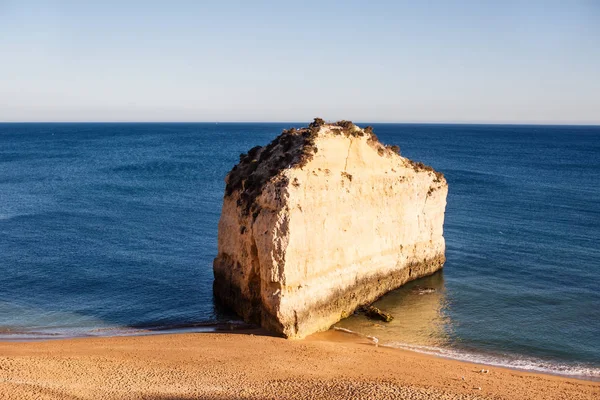 岩ビーチとカモメ。プライア、ポルトガル — ストック写真