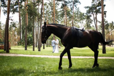 Düğün çifti bir at ön planda yeşil ağaçlar arasında parkta yürüyüş