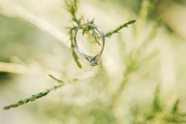 Ehering im Gras — Stockfoto