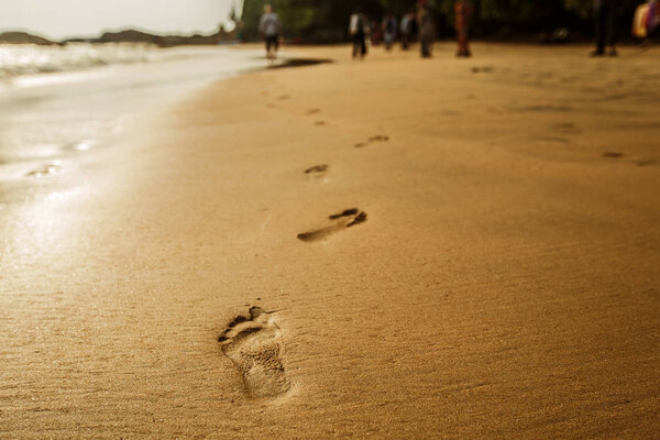 Следы на песке на пляже. Индия, Гоа
.