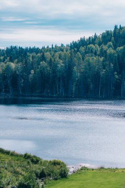 Güneşli bir yaz gününde manzaralı ormanlık güzel bir göl.