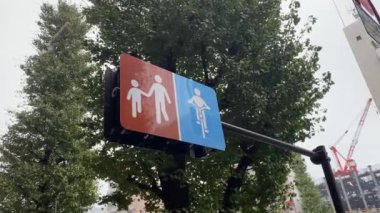 Tokyo 'daki yayalar ve motorcular için şeritleri gösteren tabela.