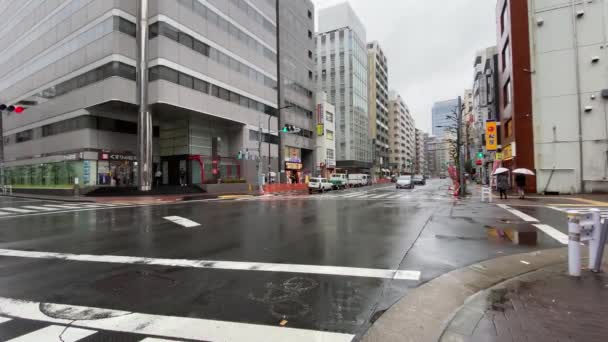 Tokyo, Japonia - Circa Listopad 2019: Deszczowy dzień, widok na ulicę — Wideo stockowe