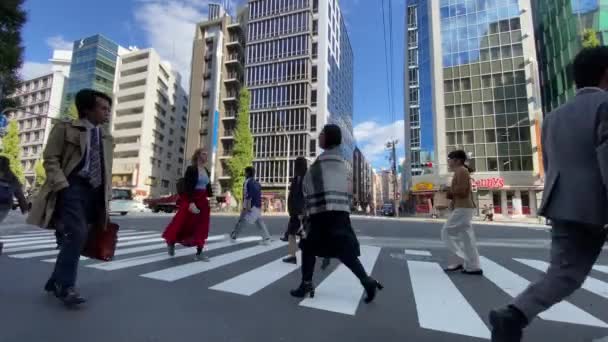 Tokyo, Japan - Circa november 2019: Een bruisend voetgangerskruispunt — Stockvideo