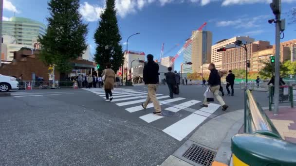 Tokyo, Japan - Cirka november 2019: En livlig vägkorsning — Stockvideo