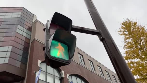 Yokohama, Japan - Circa November 2019: Square original traffic light — 비디오