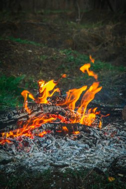 Bahar akşamında şenlik ateşi