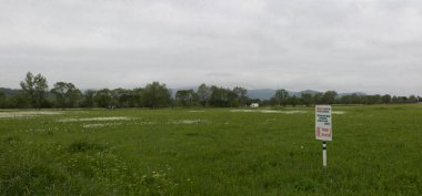 Ukrayna doğası 0500