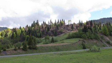 Ukrayna doğası 0500