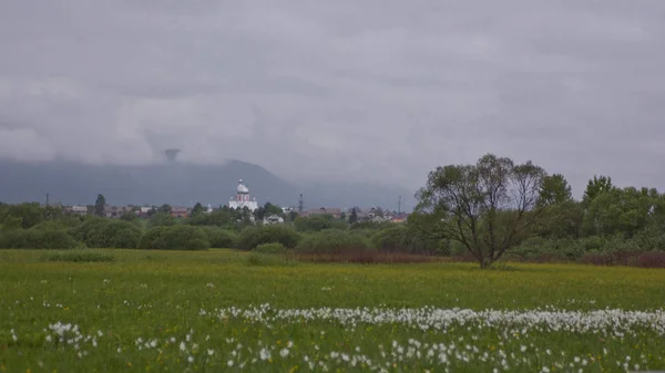 Ukrayna doğası 0500