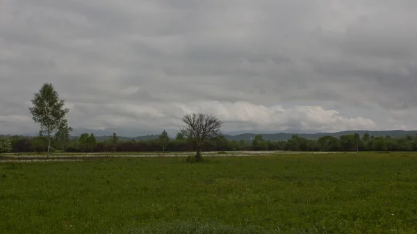 Natura Ukraina Panorama 0500 — Zdjęcie stockowe