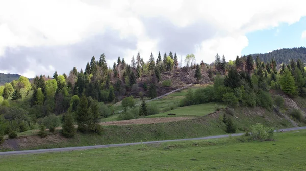 Ukrayna doğası 0500