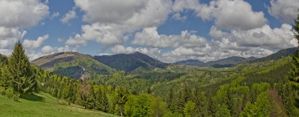 Natur Ukraina Panorama Karpaterna Berg — Stockfoto