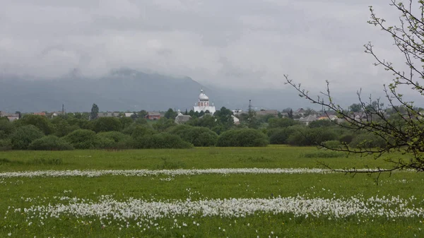 Ukrayna doğası 0500