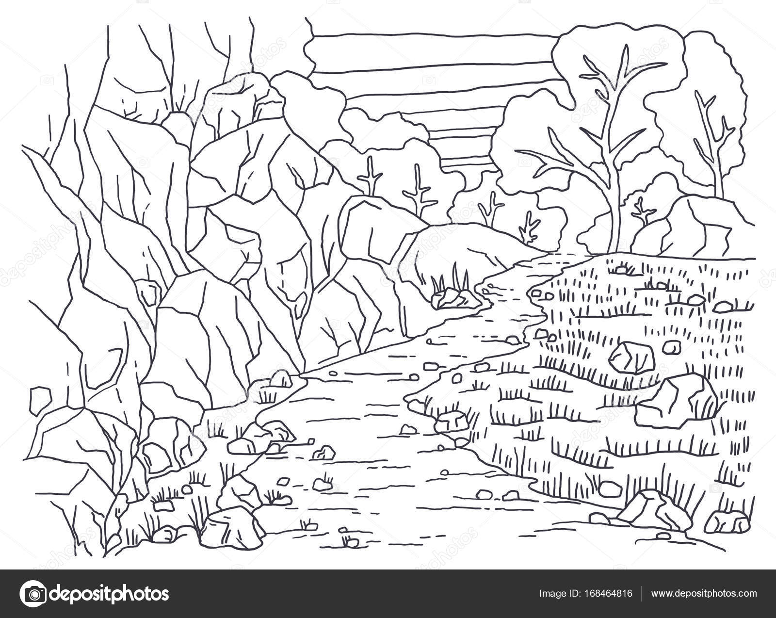 Foto in bianco e nero da colorare disegno grafica lineare Paesaggio Per la colorazione Un immagine della natura Montagna alberi piante erba