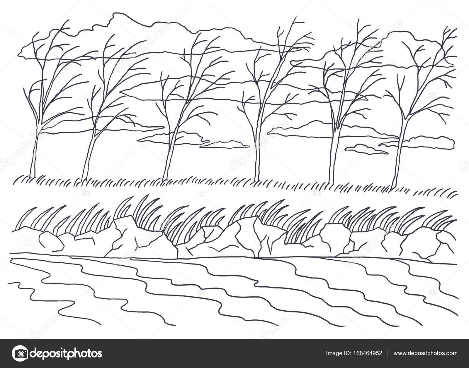 Foto in bianco e nero da colorare disegno grafica lineare Paesaggio Per la colorazione Presentato gli alberi acqua cielo vento autunno — Foto di