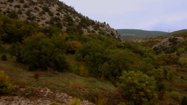 Горный смога, Крым, стадо птиц с моря, гор и деревьев осенью — стоковое видео