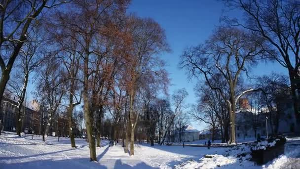 Vilnius panorama morgon före jul — Stockvideo