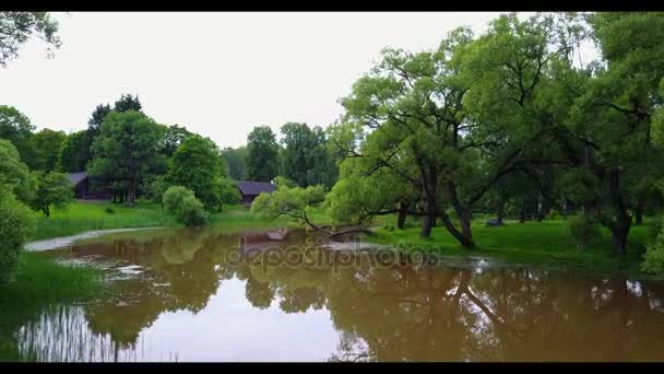 川と緑豊かな庭園にヘリコプターのフライト — ストック動画