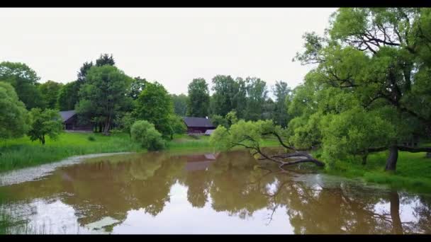 Flights on the copter over green gardens with rivers — Stock Video