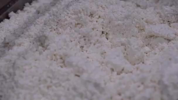 Výroba Sýra Pracovník Mlékárně Dělá Sýr Nádobách Nerezavějící Oceli — Stock video