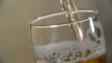 Light bira gri bir arka plan üzerinde bir cam içine dökülür