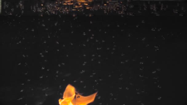 Pysiri im Wasser gegen eine flammende Flamme des Feuers, Feuer im Wasser. — Stockvideo