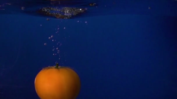 Čerstvé červené rajče spadá do vody pozadí v pomalém pohybu — Stock video