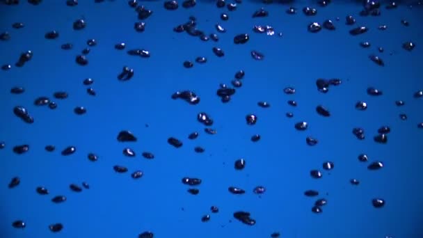 Burbujas de aire caen sobre fondo azul — Vídeo de stock