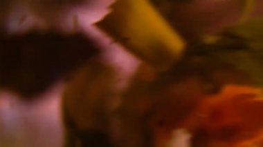 Büyük yaprakları yeşil çay bir kupa karıştırma. Ağır çekim.