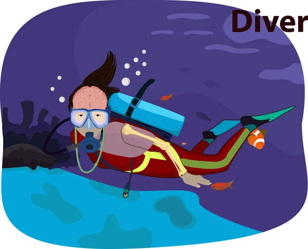 ภาพเวกเตอร ของกายว ภาคศาสตร ของมน Diver — ภาพเวกเตอร์สต็อก