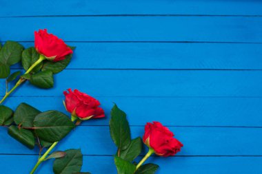 Mavi ahşap masada kırmızı güller. Sevgililer Günü geçmişi.
