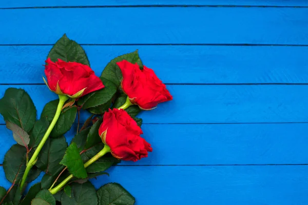 Rosas vermelhas na mesa de madeira azul. Dia dos namorados fundo . — Fotografia de Stock