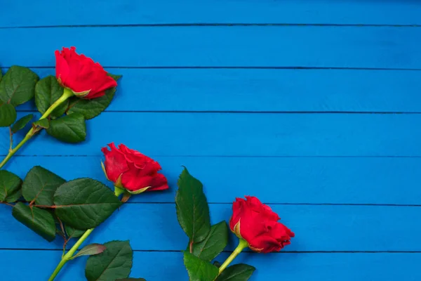 Rosas vermelhas na mesa de madeira azul. Dia dos namorados fundo . — Fotografia de Stock