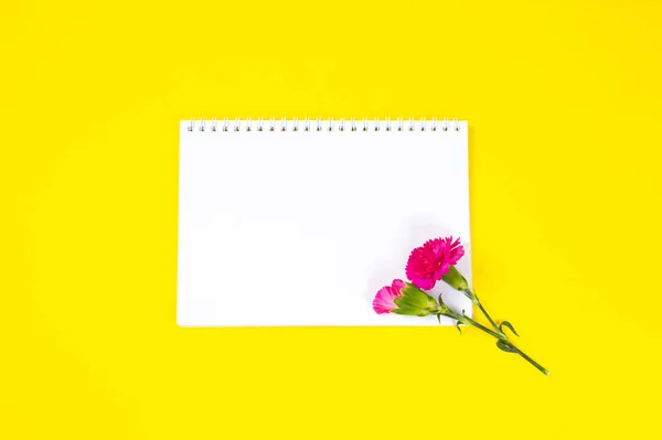 Pink carnation flowers with notebook on yellow background. — Stock Fotó