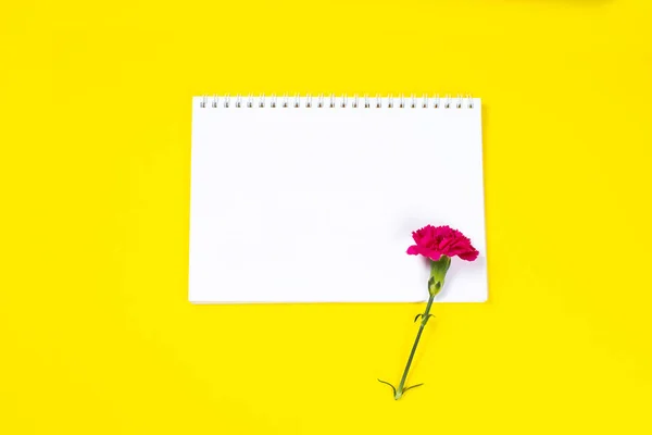 Flores de clavel rosa con cuaderno abierto sobre fondo amarillo . — Foto de Stock
