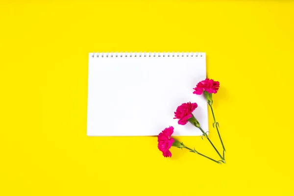 Flores Clavel Rosadas Con Cuaderno Abierto Sobre Fondo Amarillo Feliz —  Fotos de Stock