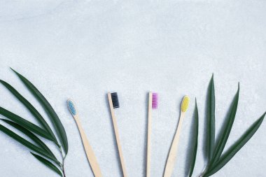 Bambu diş fırçaları ve taş masadaki yeşil yapraklar.