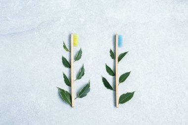 Çevre dostu yeşil yapraklı doğal bambu diş fırçaları.