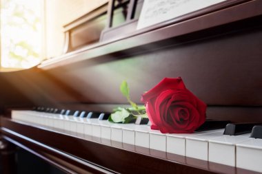 Red rose on the piano in church with warm light at sunday mornin clipart