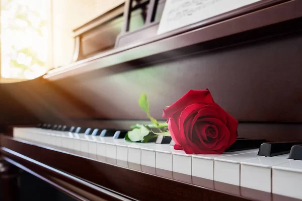 Rose rouge sur le piano à l'église avec une lumière chaude le dimanche matin — Photo