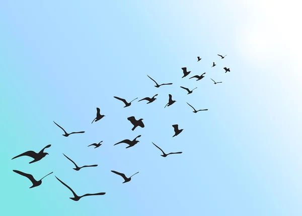 Formación de aves acuáticas voladoras — Vector de stock