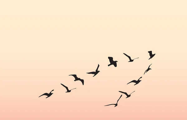 Silhouetten van vliegende vogels, vectorillustratie — Stockvector