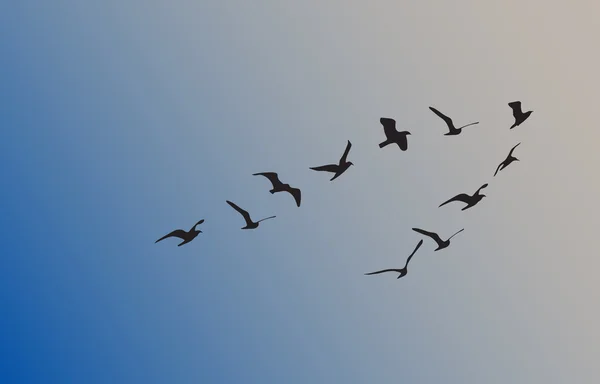Siluetas de aves voladoras, ilustración vectorial — Archivo Imágenes Vectoriales