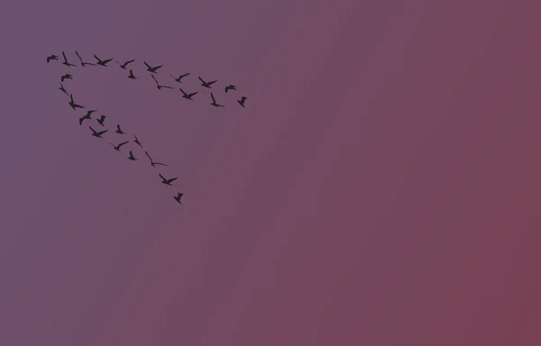 Σμήνος πτηνών κατά το ηλιοβασίλεμα — Διανυσματικό Αρχείο