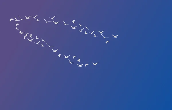 Silhouettes d'oiseaux volants, illustration vectorielle — Image vectorielle